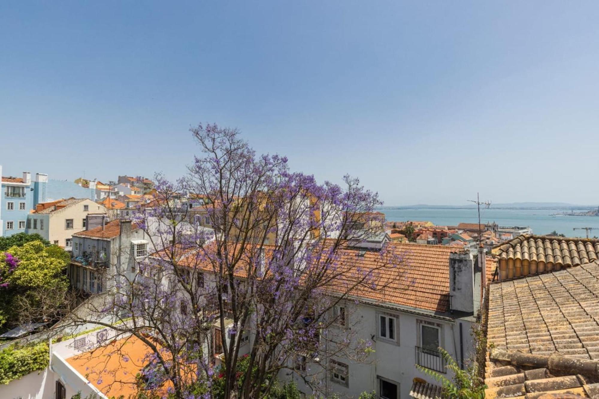 Joao Da Mata Amazing Views By Innkeeper Lisboa Eksteriør billede